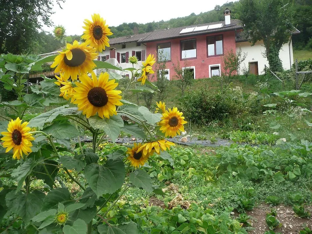 B&B I Boschi Del Castagno Triches 0*,